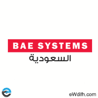 شركة هندسة النظم الدولية