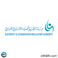 هيئة تنظيم الكهرباء و الإنتاج المزدوج