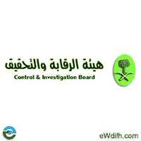 هيئة الرقابة والتحقيق