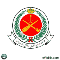 قوات الدفاع الجوي